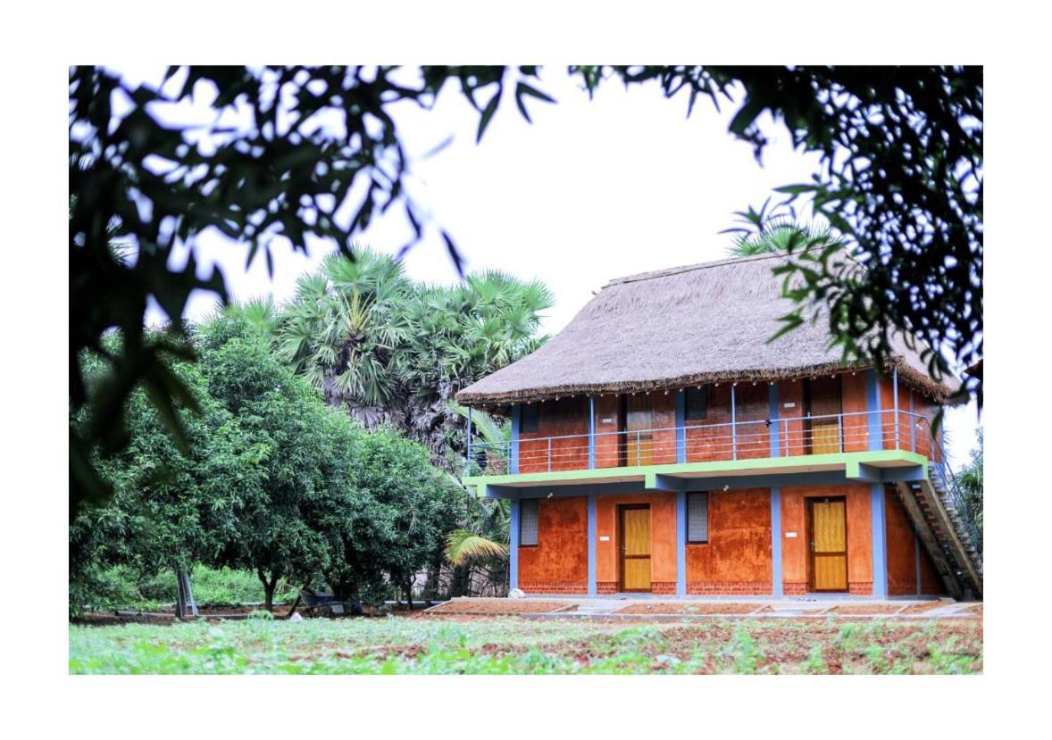 Farm Auroville