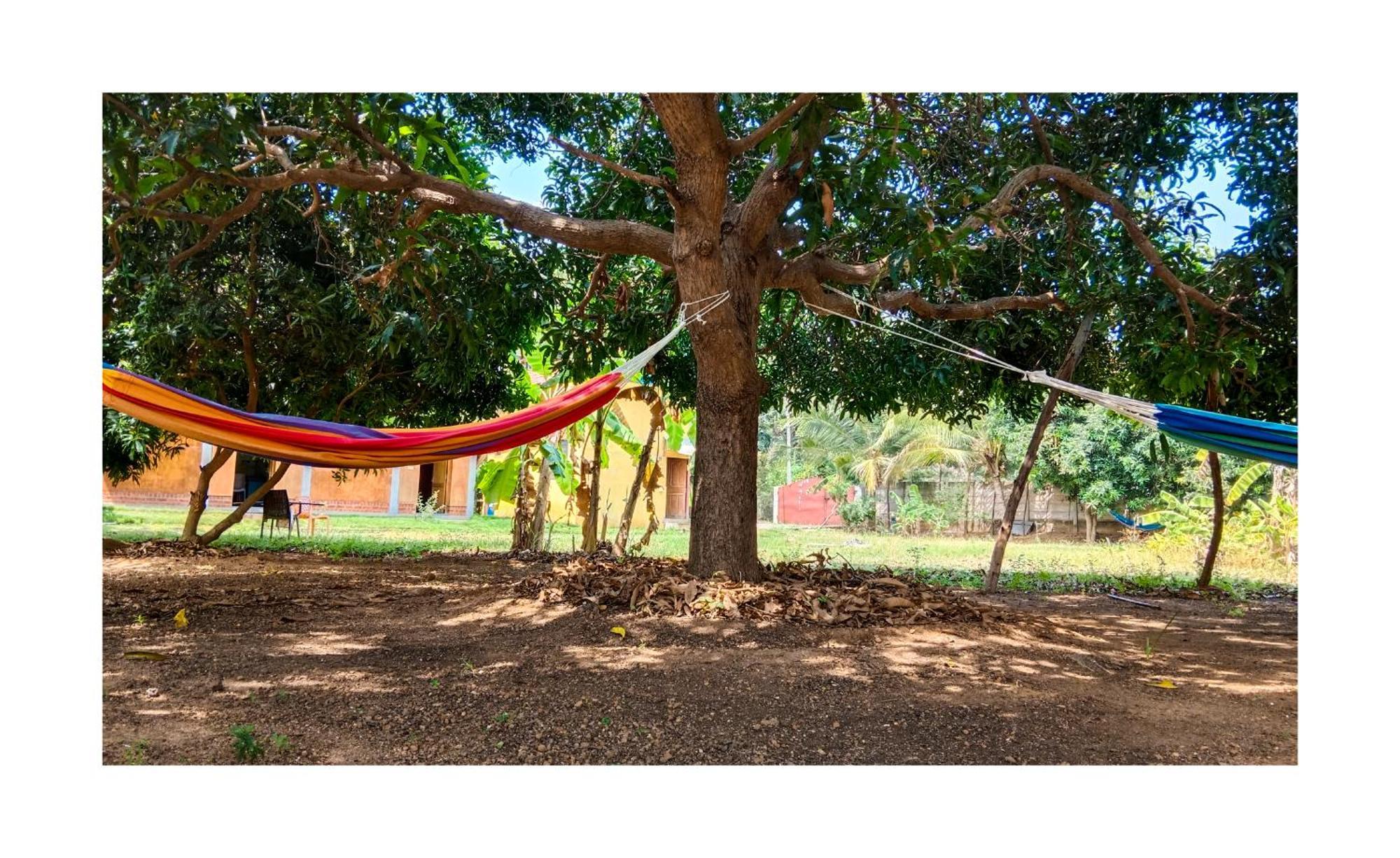 Farm stay Farm Auroville