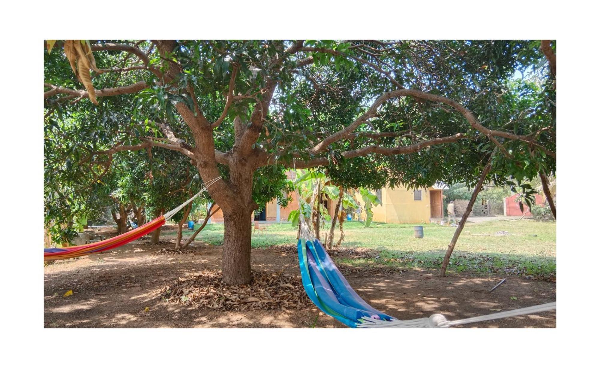 Farm Auroville