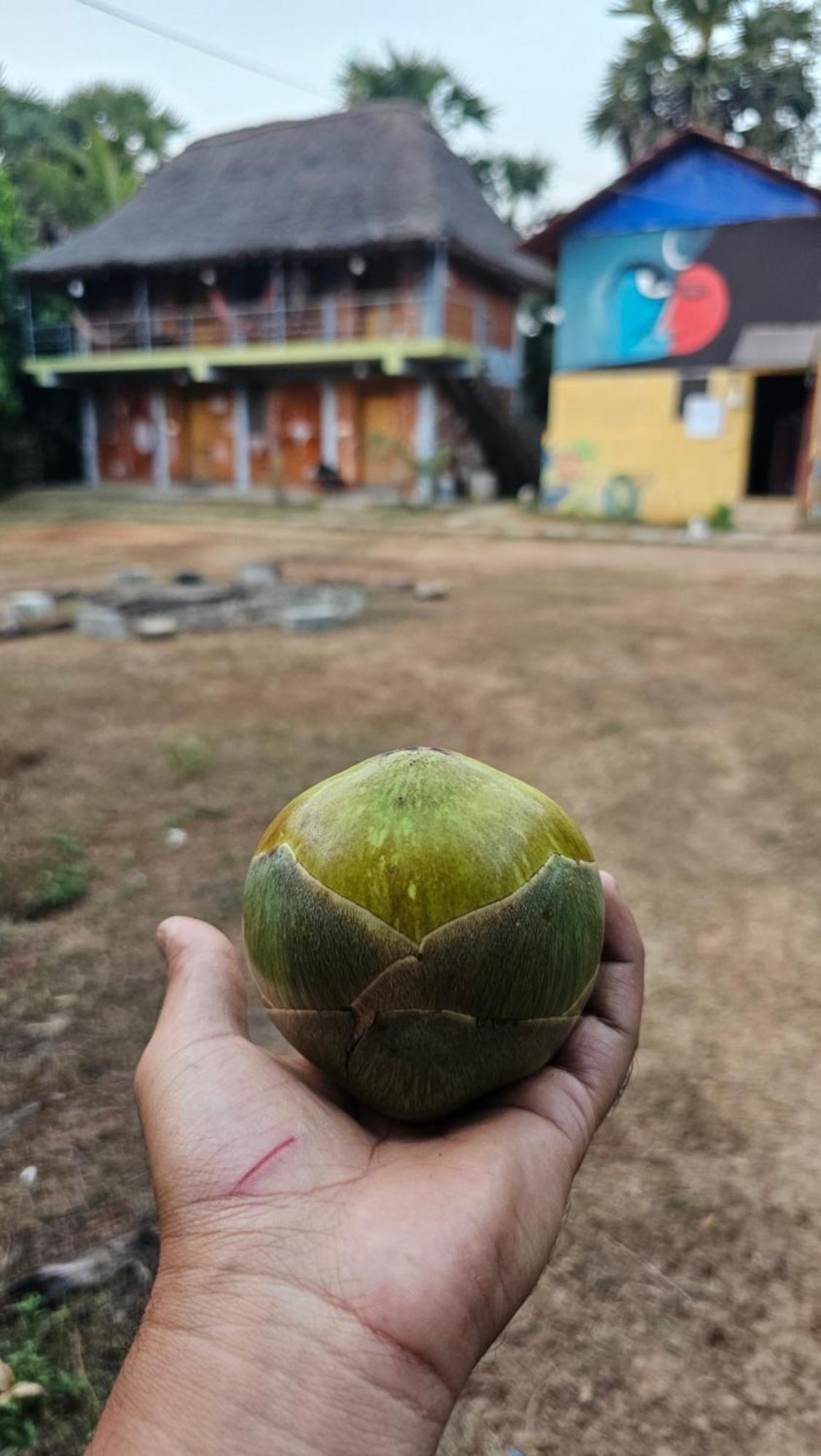 Farm Auroville