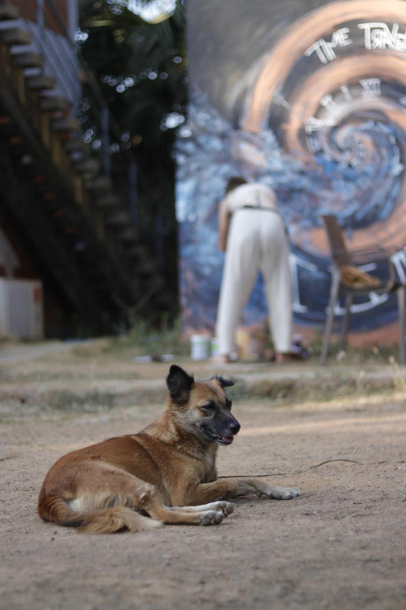 Farm stay Farm Auroville