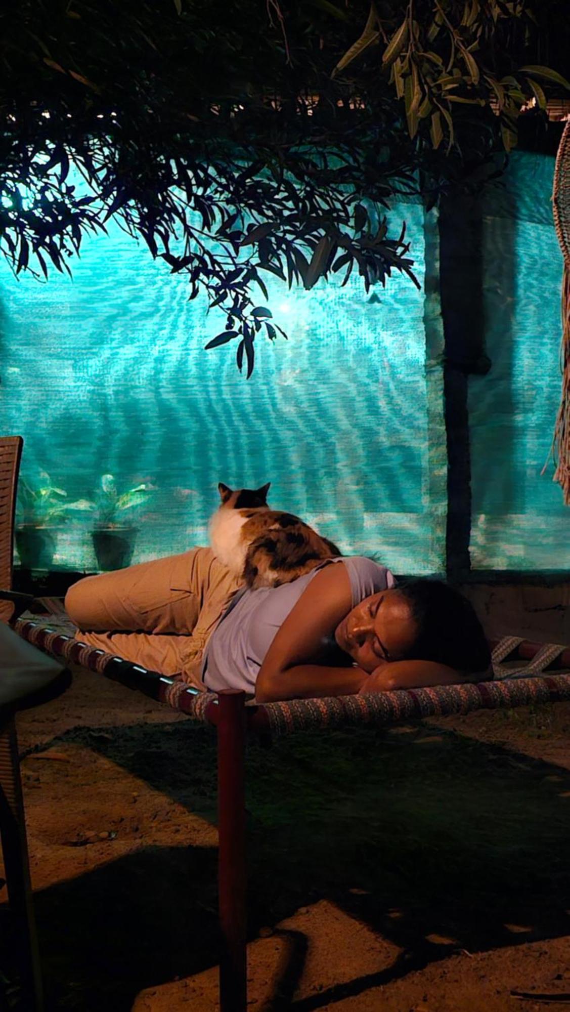 Farm stay Farm Auroville