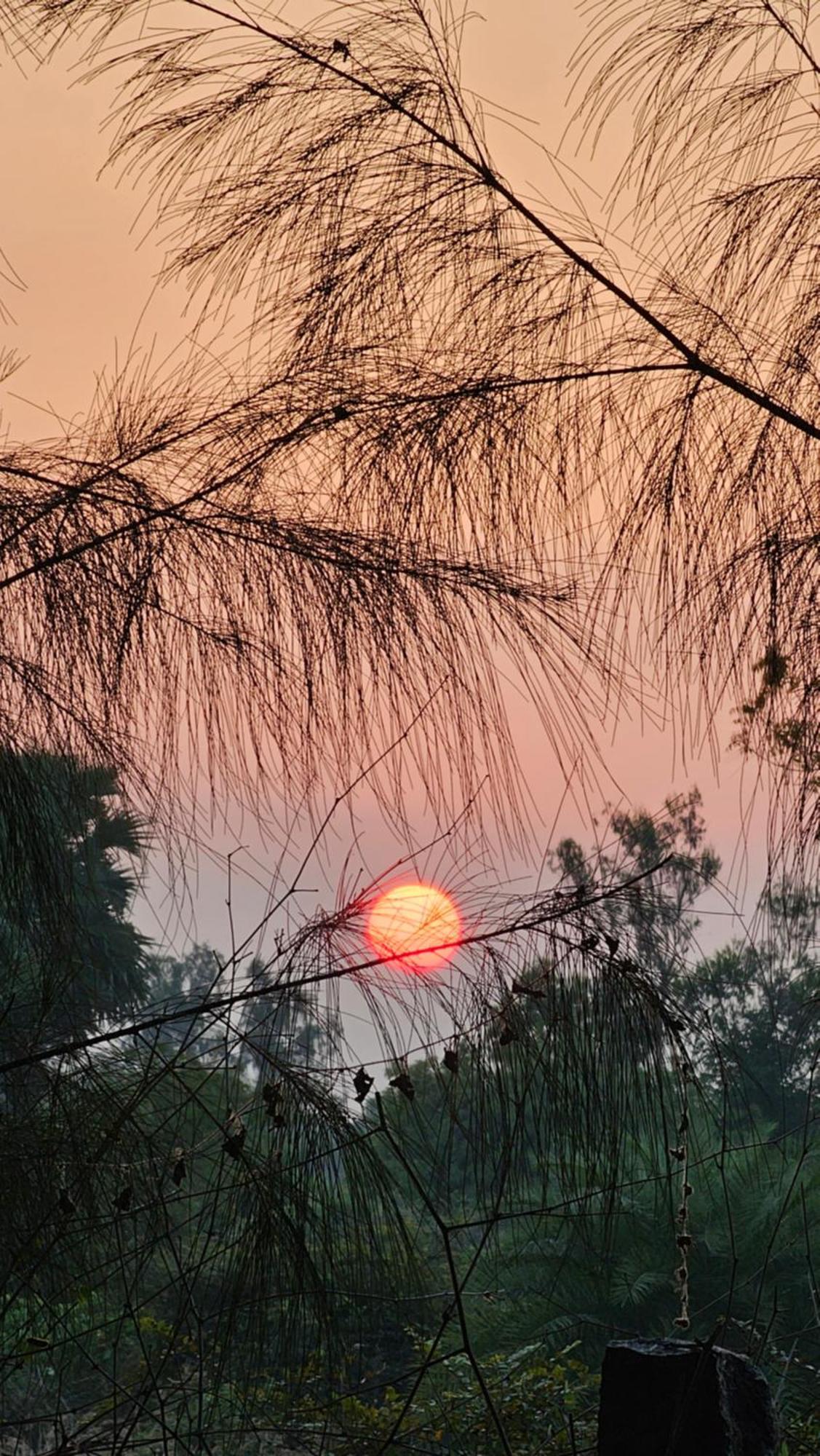 Farm stay Farm Auroville