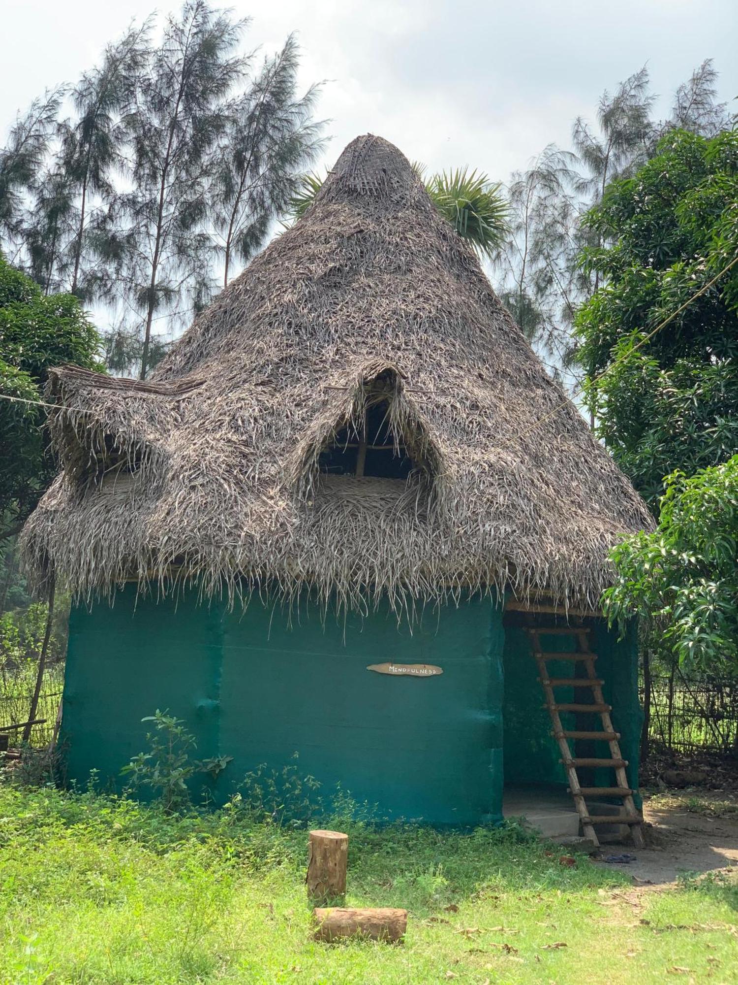 Farm stay Farm *